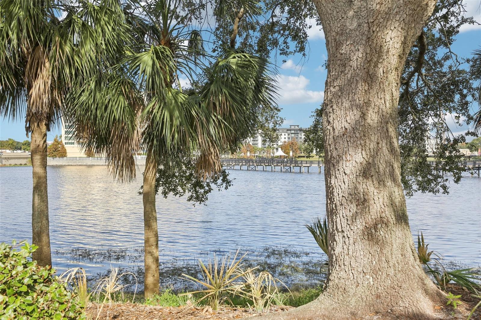 WATERSIDE AT CRANES ROOST A CONDO COMMUNITY - Residential