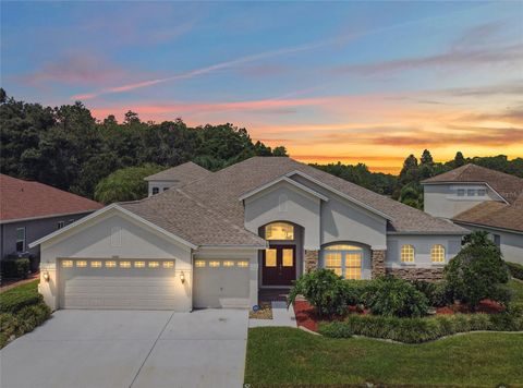Photo of 5321 Silver Charm Terrace, Wesley Chapel, FL 33544 (MLS # TB8405847)