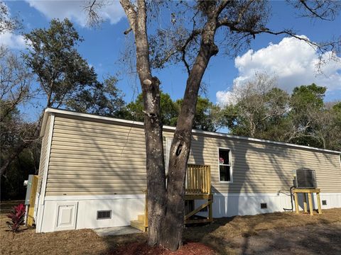 Photo of 6042 SW Miami Avenue, Arcadia, FL 34266 (MLS # A4681539)