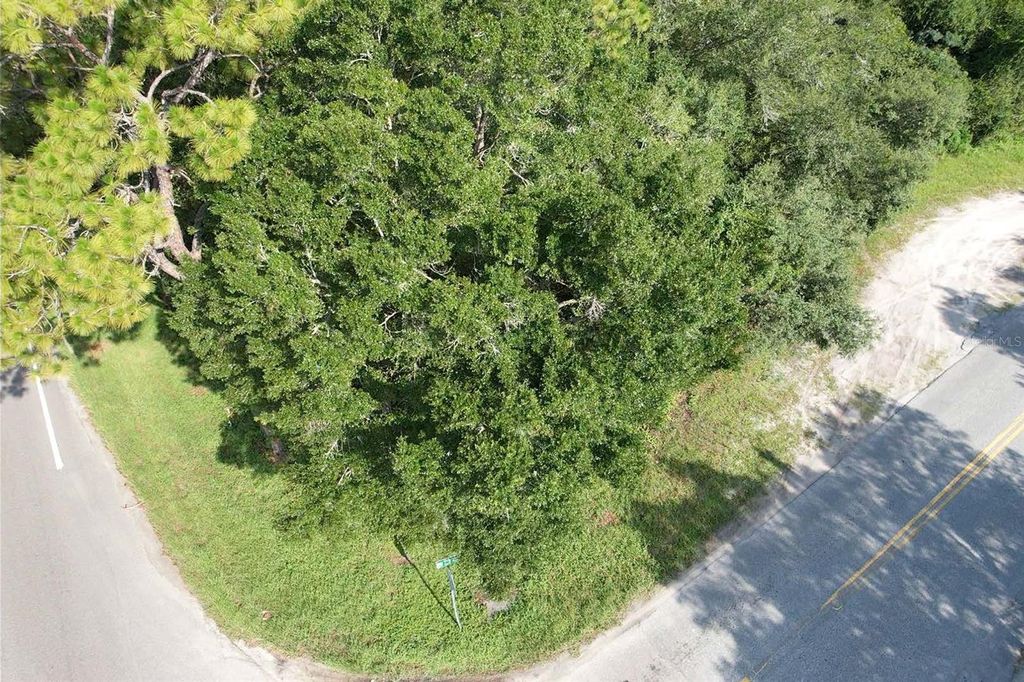 Photo of Tbd SW Hwy 484, Dunnellon, FL 34432 (MLS # OM706750)