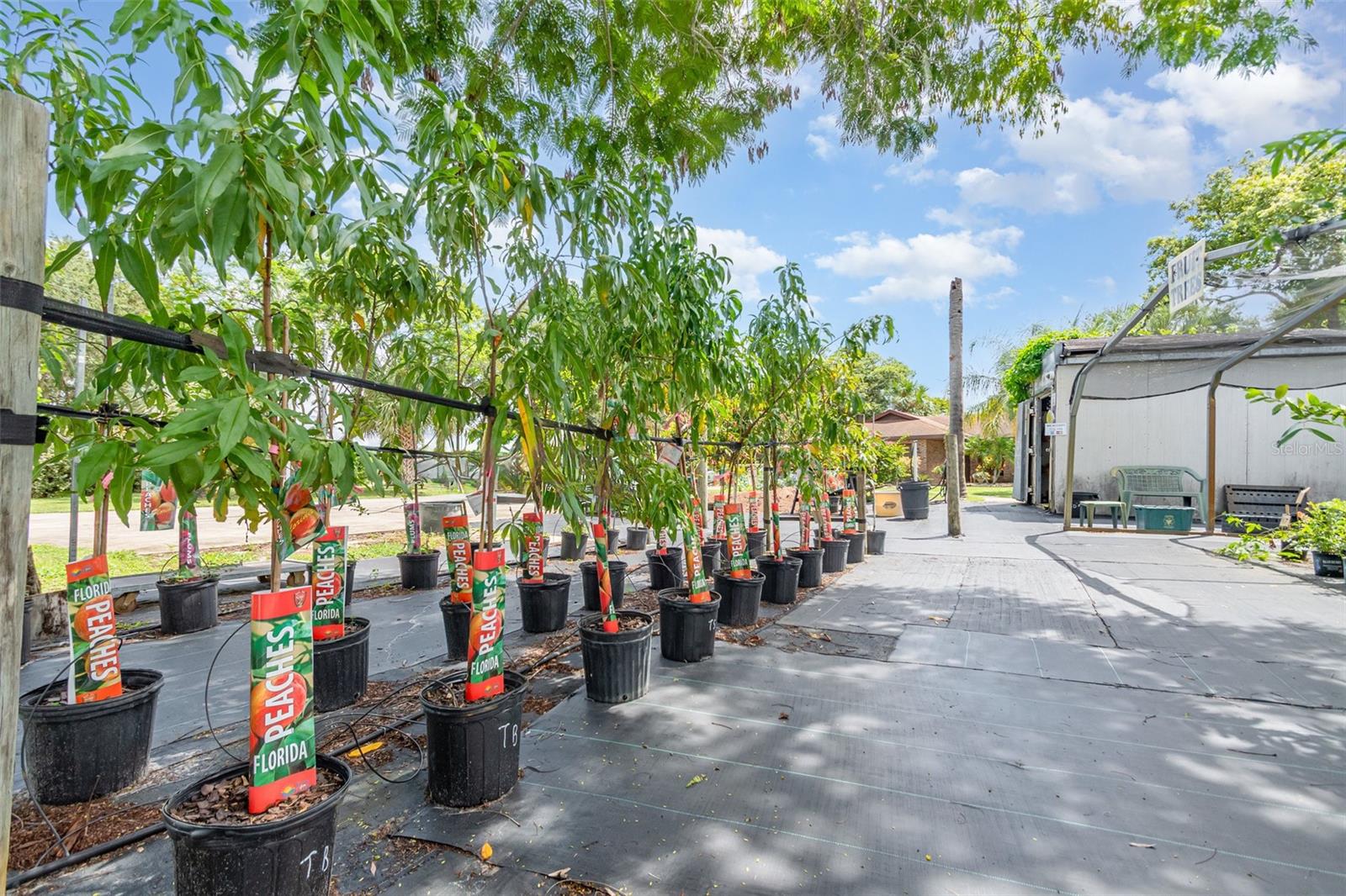 CARNELL 3RD ADD AKA PELLS HILLTOP UNREC - Residential