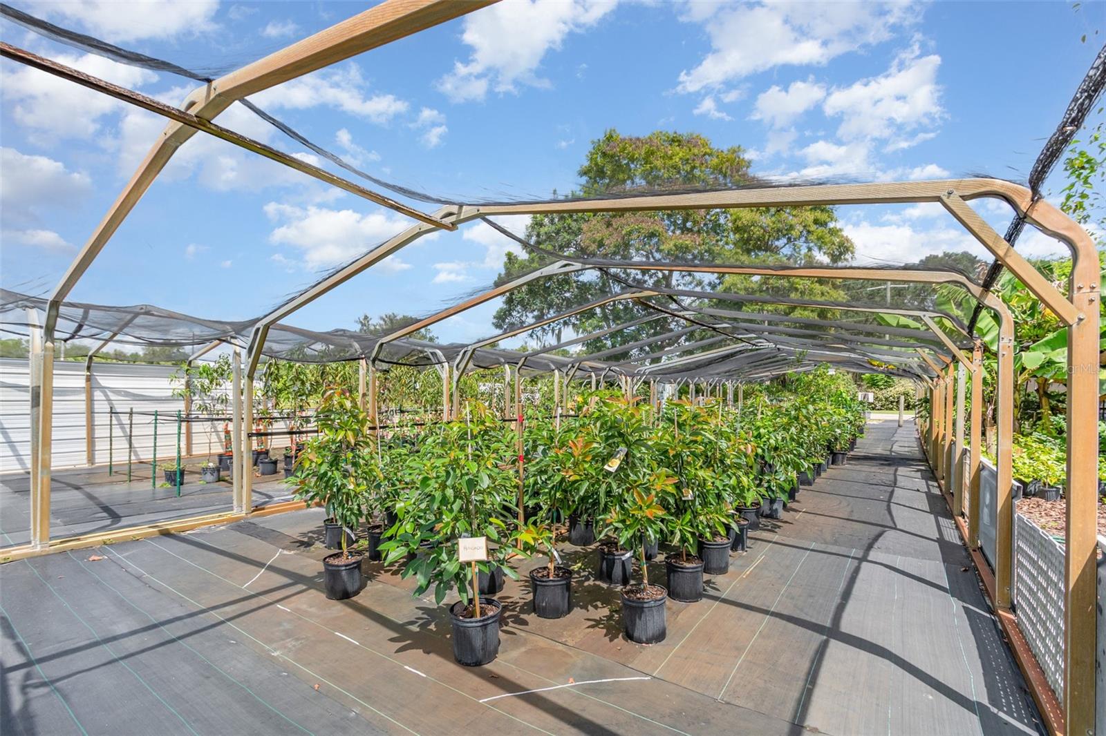 CARNELL 3RD ADD AKA PELLS HILLTOP UNREC - Residential