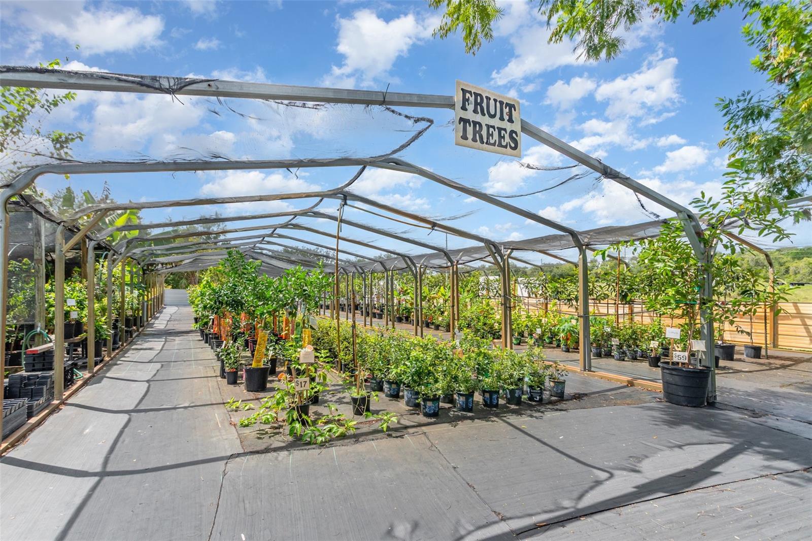 CARNELL 3RD ADD AKA PELLS HILLTOP UNREC - Residential