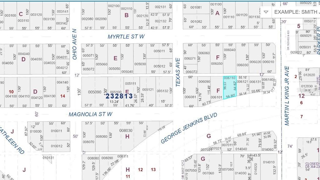 Photo of 515 W Magnolia Street, Lakeland, FL 33815 (MLS # P4933408)