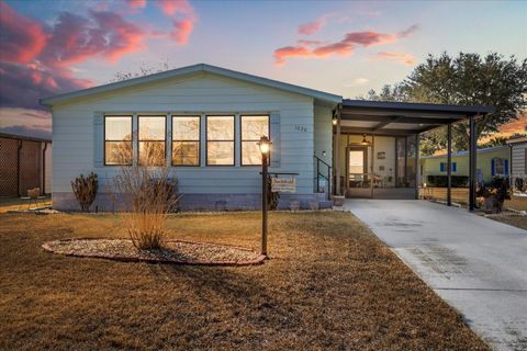 1020 DUSTIN DRIVE LADY LAKE FL 32159