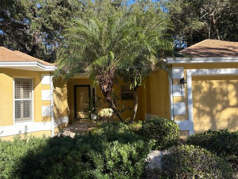 A home in THE VILLAGES