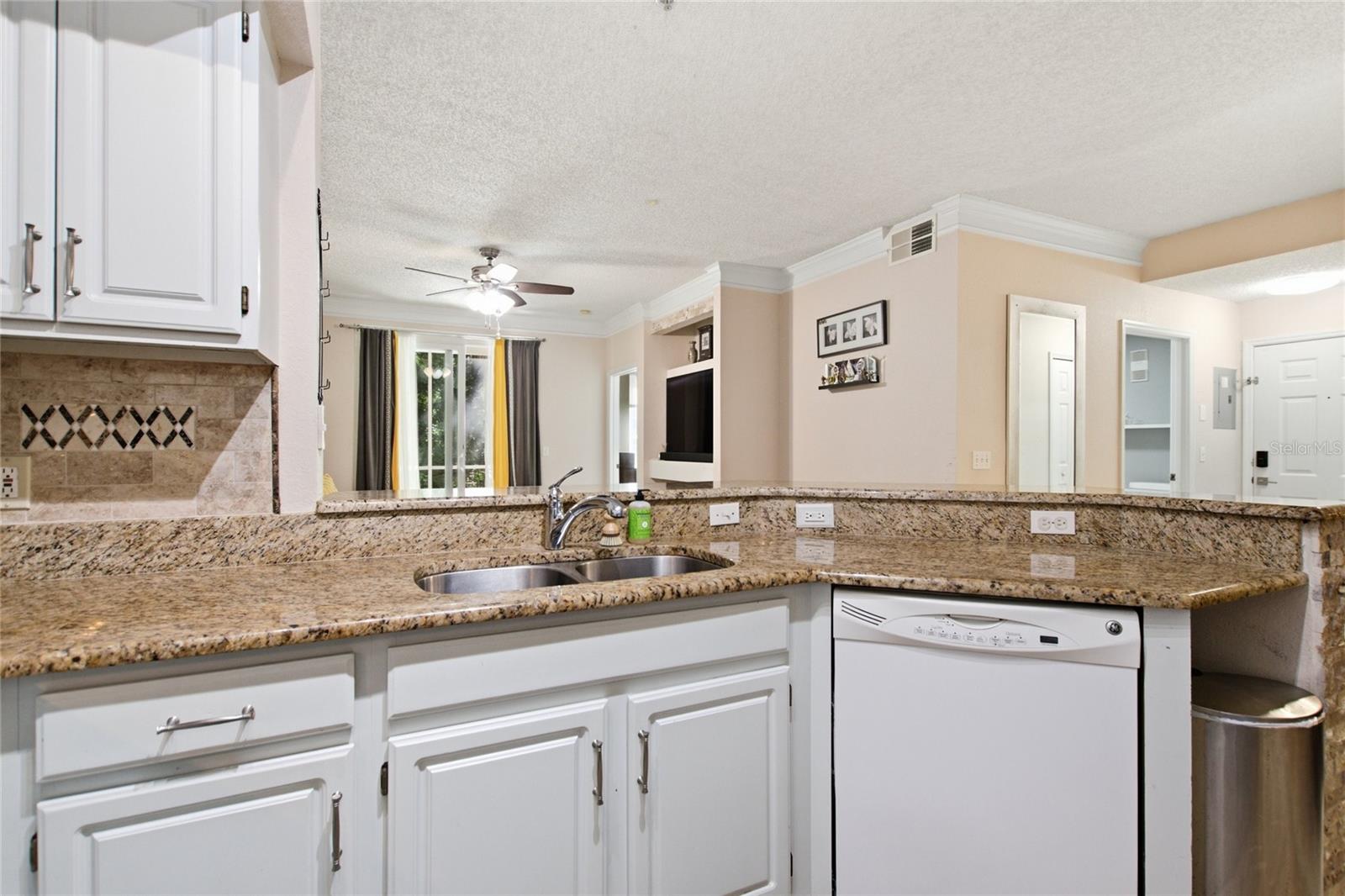 13037 MULBERRY PARK DRIVE 518