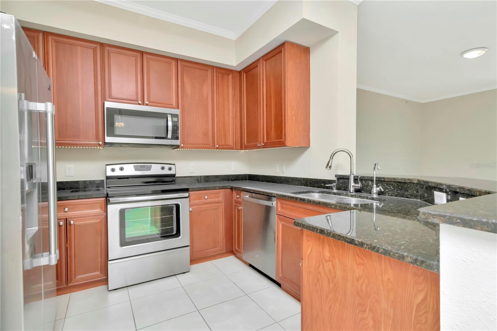 4516 SEAGULL DRIVE 916