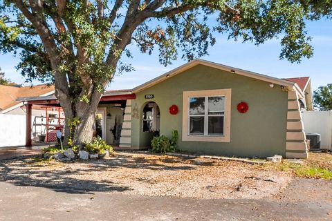 A home in TAMPA