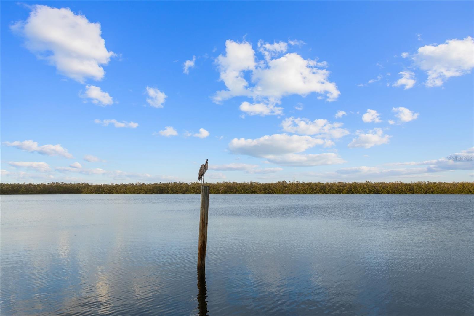 LONGBOAT HARBOUR - Residential