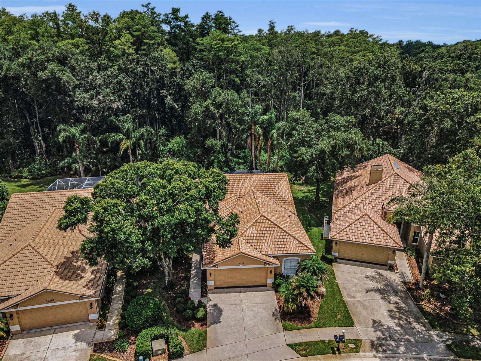 5250 PINEHURST COURT
