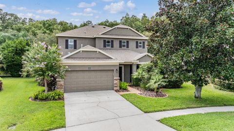 A home in LAND O LAKES