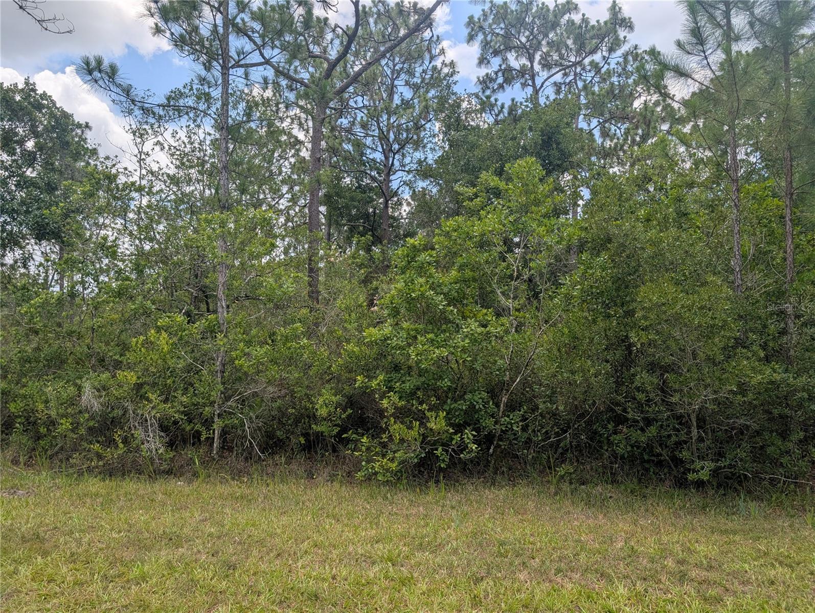 Photo 1 of 42 — 519 CAMELLIA DRIVE, INDIAN LAKE ESTATES, FL 33855