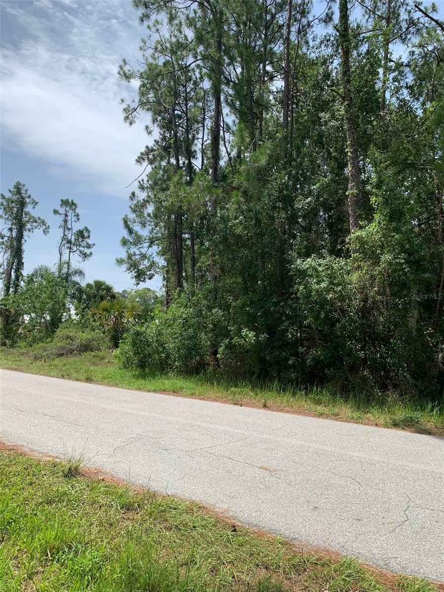 ORANGE BLOSSOM ESTATE - Land