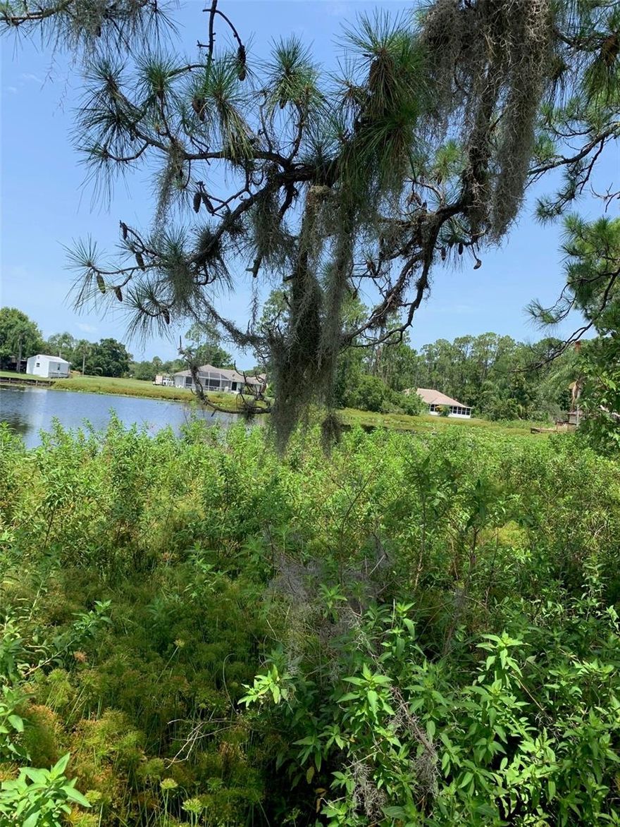 THIS YOUR CHANCE TO OWN A 1/2 ACRE LOT ON A SECLUDED LAKE IN CENTRAL FLORIDA RECENTLY AN "SEBRING FL HGTV SPOTLIGHT CITY IN MAY" YOU GET A FULL VIEW OF THE LAKE VERY QUIET AREA LOTS OF NATURE, THERE IS A 1/4 ACRE LOT NEXT TO THIS IF YOU NEED EVEN MORE ROOM JUST DOWN THE ROAD FROM A MUNICIPAL GOLF COURSE AND DINING, SEBRING IS STILL GROWING YOUR LESS THAN 30 MIN TO SEBRING INTERNATIONAL SPEEDWAY, 70+ NAMED LAKES, MILES OF ALL TERRAIN TRAILS AND ONLY 2 HRS FROM EITHER COAST AND 2HRS FROM ORLANDO,TAMPA AND FT LAUDERDALE , THE CITY SAYS THERE IS CITY WATER IN THE AREA AND ELECTRIC IS AT THE ROAD, THE LOT WILL NEED CLEARING AND SEPTIC TANK INSTALLED,