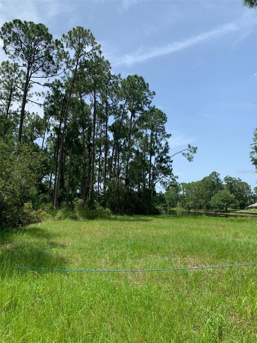 ORANGE BLOSSOM ESTATE - Land