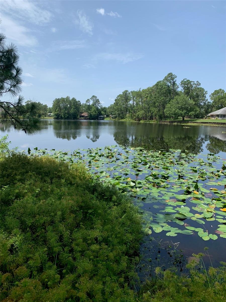 ORANGE BLOSSOM ESTATE - Land