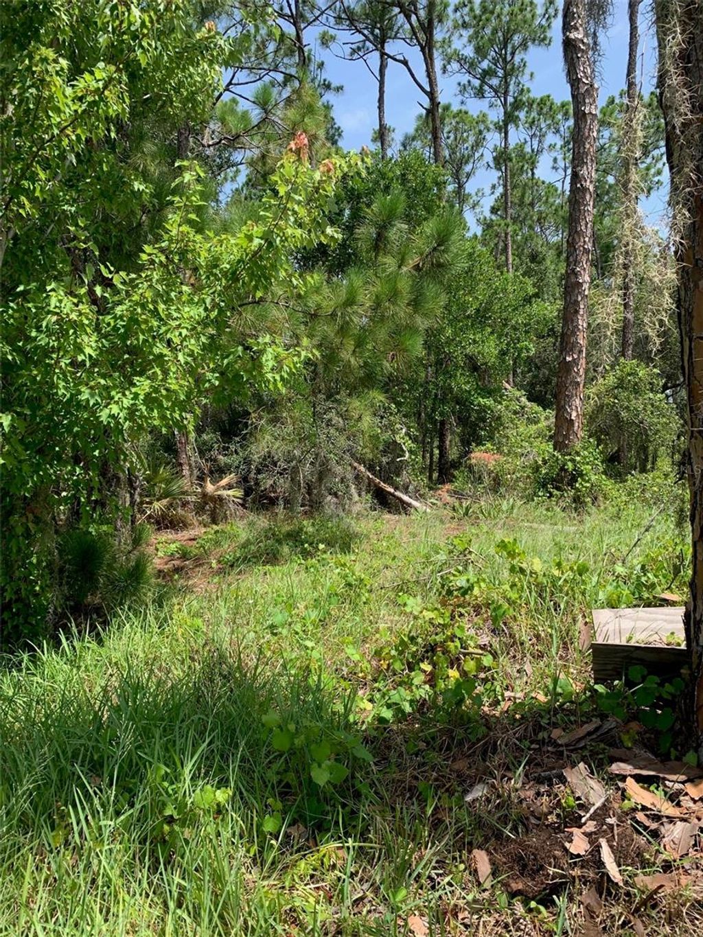 Photo of 1709 Stream Avenue, Sebring, FL 33875 (MLS # B4901989)