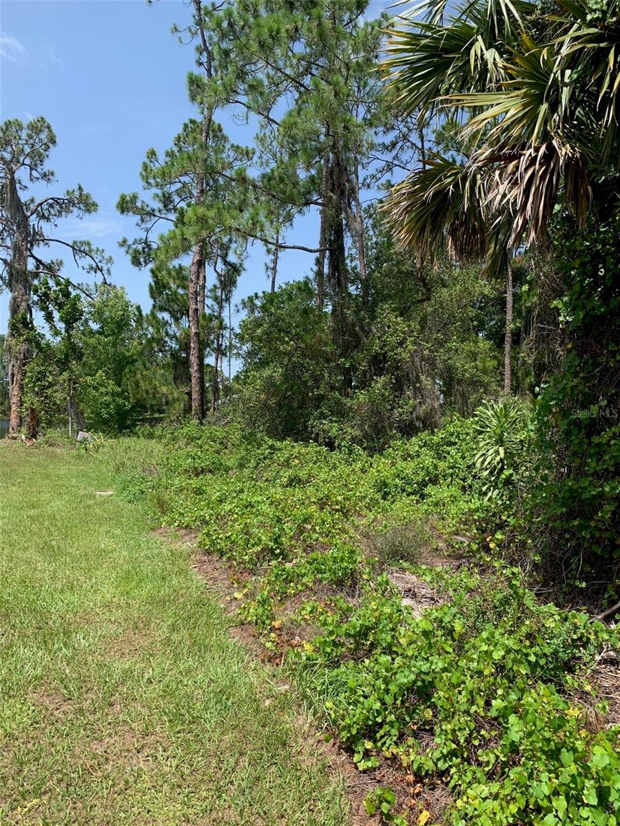 ORANGE BLOSSOM ESTATE - Land