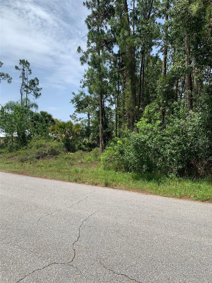 ORANGE BLOSSOM ESTATE - Land