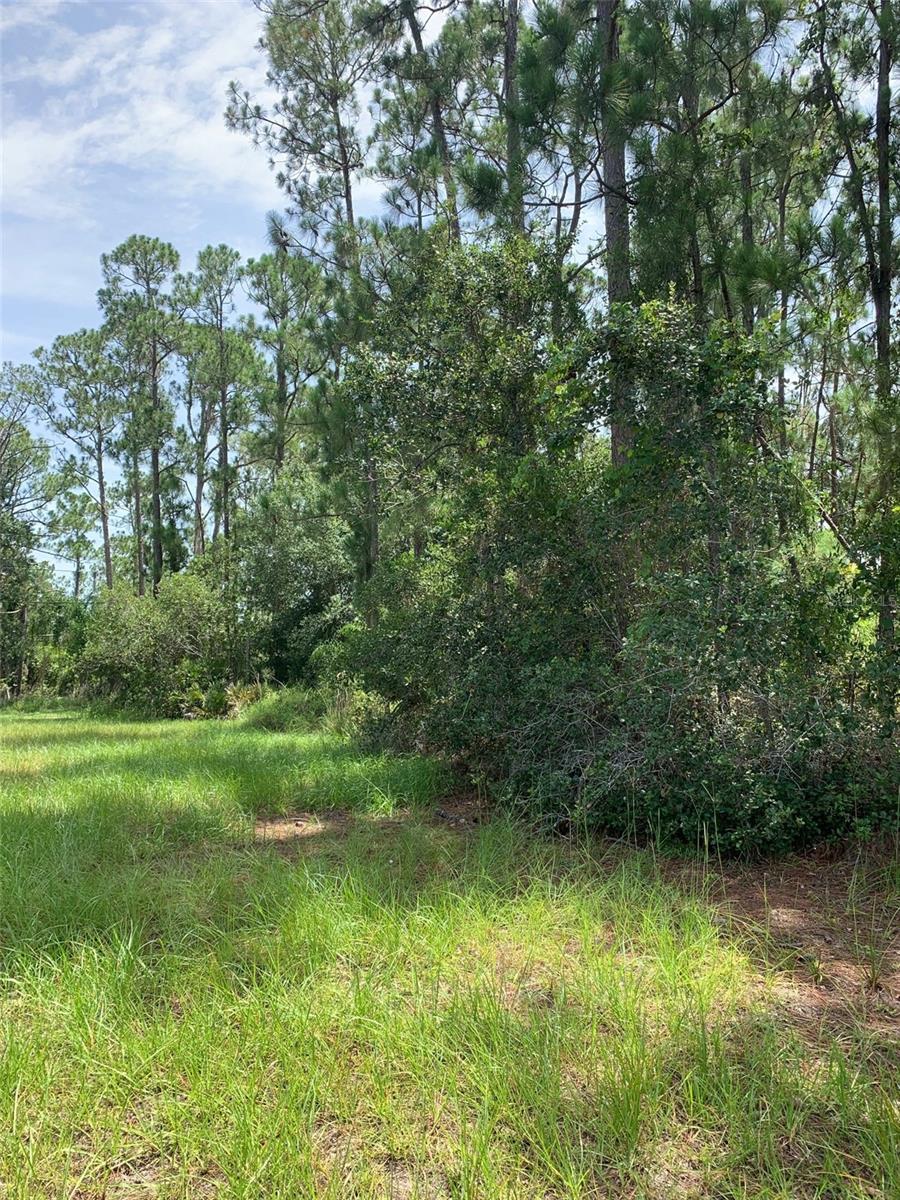 ORANGE BLOSSOM ESTATE - Land