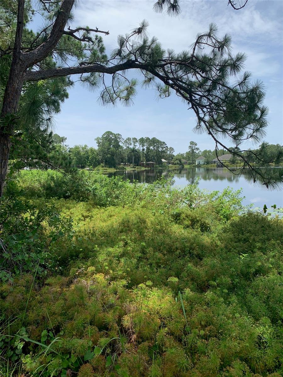 ORANGE BLOSSOM ESTATE - Land