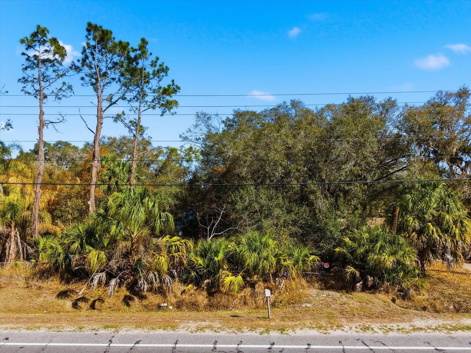 8529 LITHIA PINECREST ROAD