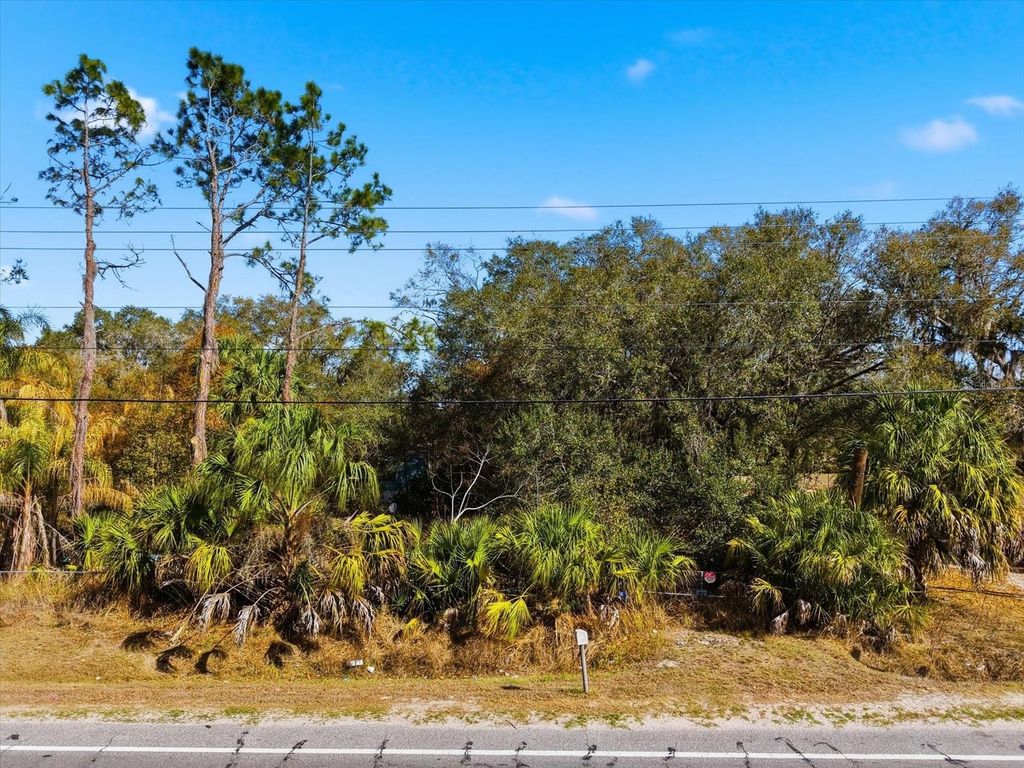 Photo of 8529 Lithia Pinecrest Road, Lithia, FL 33547 (MLS # TB8483929)