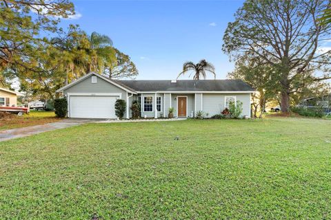 A home in DELTONA