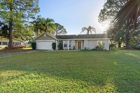 A home in DELTONA