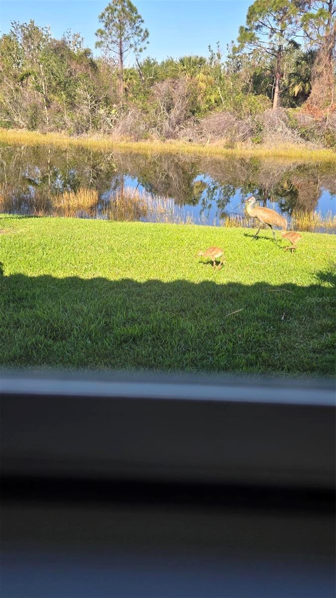 803 CORAL BEAN COVE