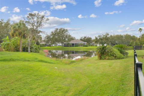 A home in LITHIA