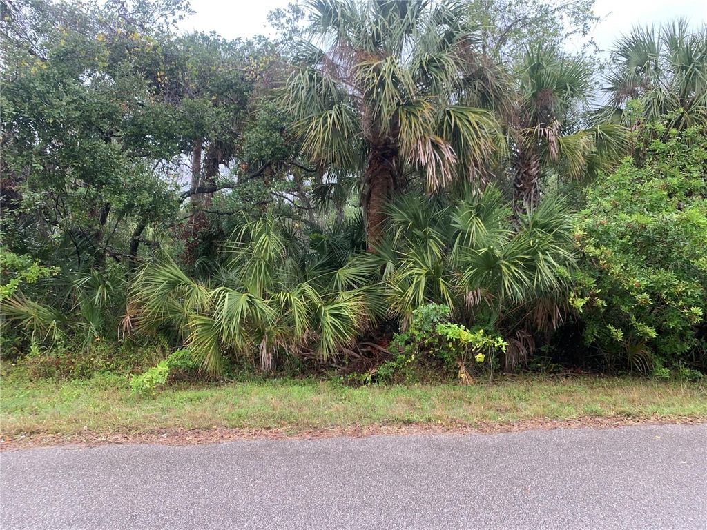Photo of 14452 Molla Avenue, Port Charlotte, FL 33953 (MLS # C7504038)