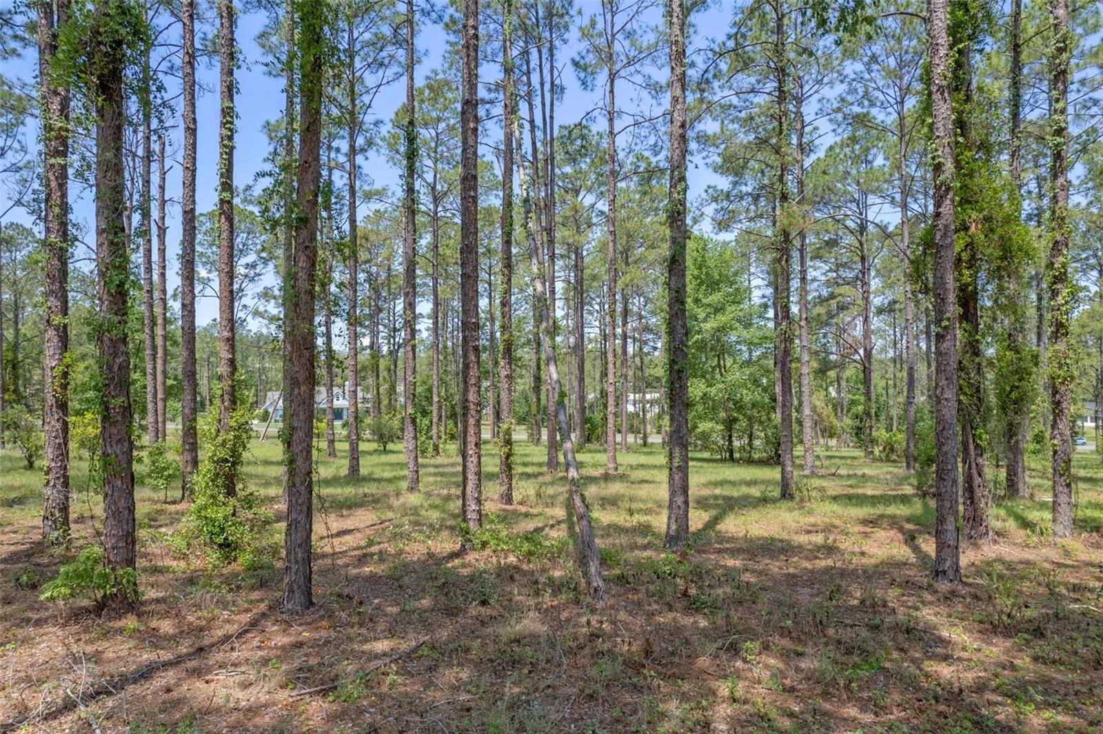 LAKEWOOD RANCHES SUB - Land