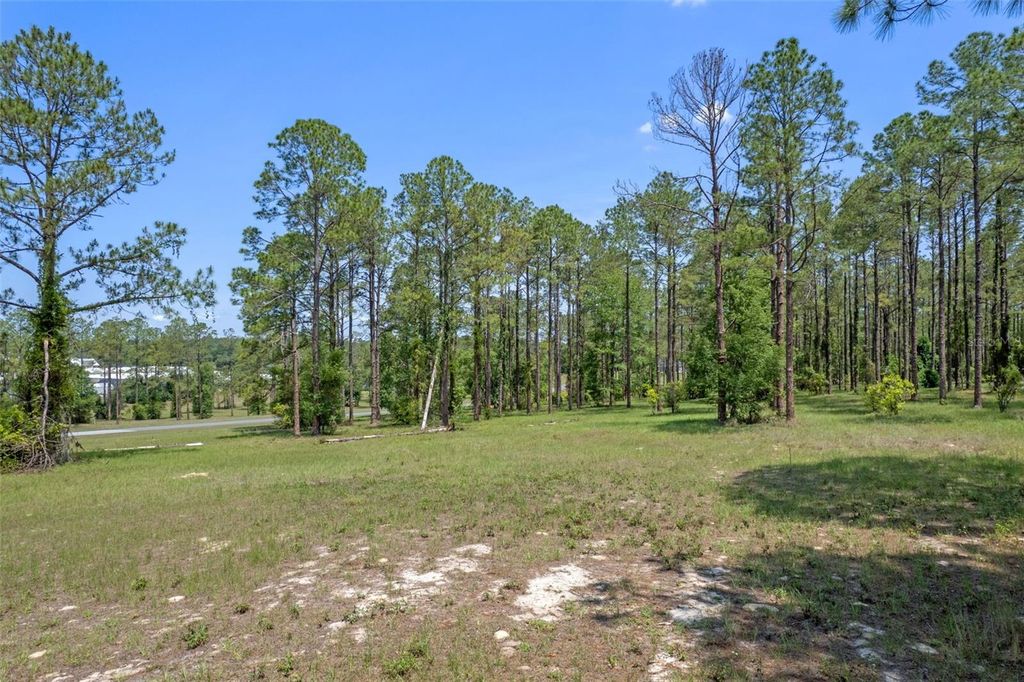 Photo of 35408 Pinegate Trl, Eustis, FL 32736 (MLS # O6389103)