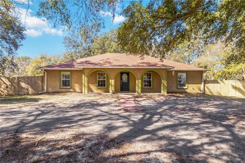 Photo of 6711 Bonnie Blue Drive, Wesley Chapel, FL 33544 (MLS # A4680084)