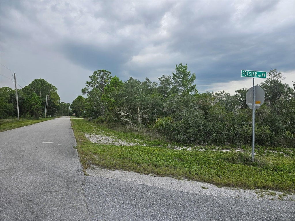 Photo of 643 Buccaneer Street NW, Lake Placid, FL 33852 (MLS # P4939251)