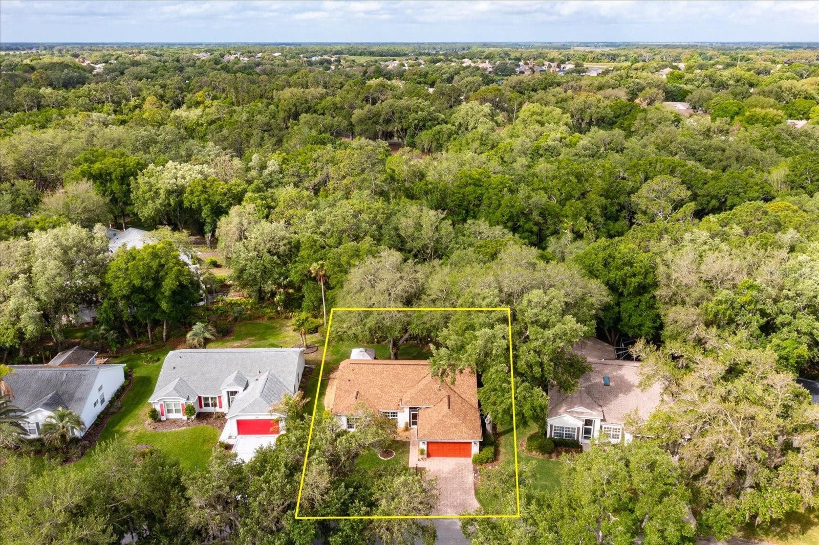 PLANTATION AT LEESBURG OAK TREE VILLAGE - Residential