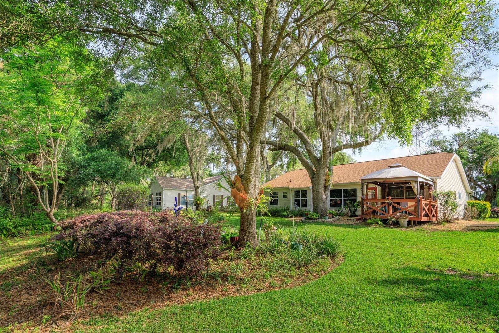 PLANTATION AT LEESBURG OAK TREE VILLAGE - Residential