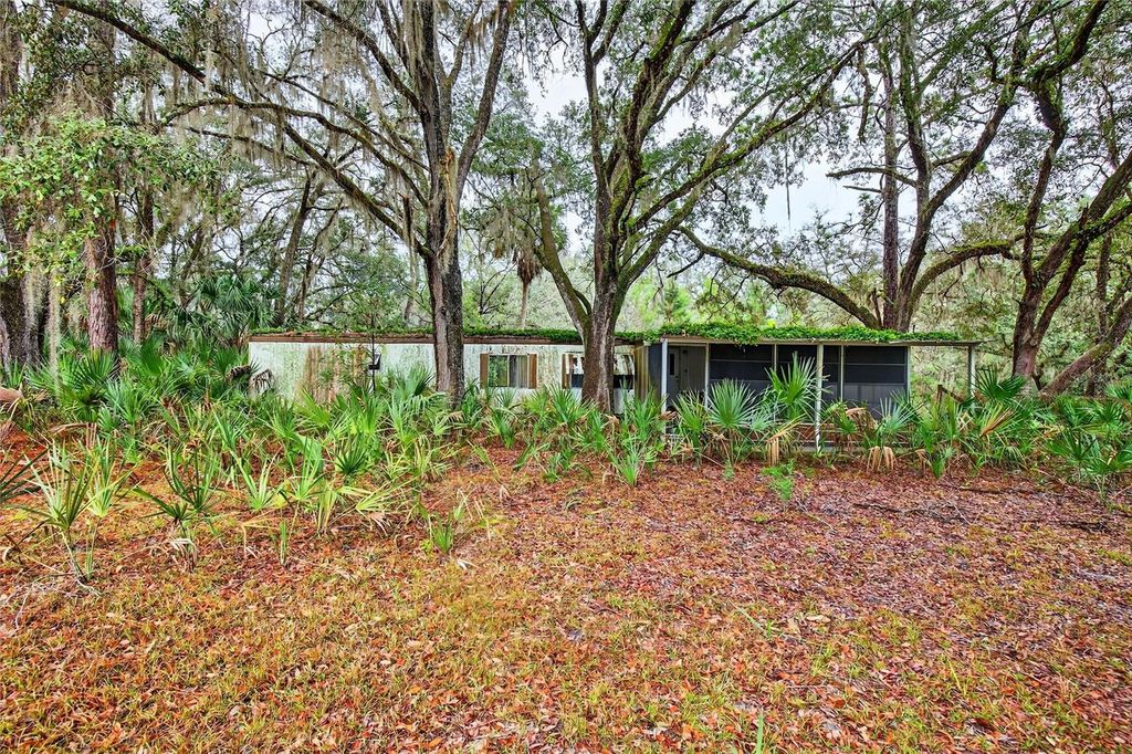 Photo of 910 S County Road 21, Hawthorne, FL 32640 (MLS # O6366156)