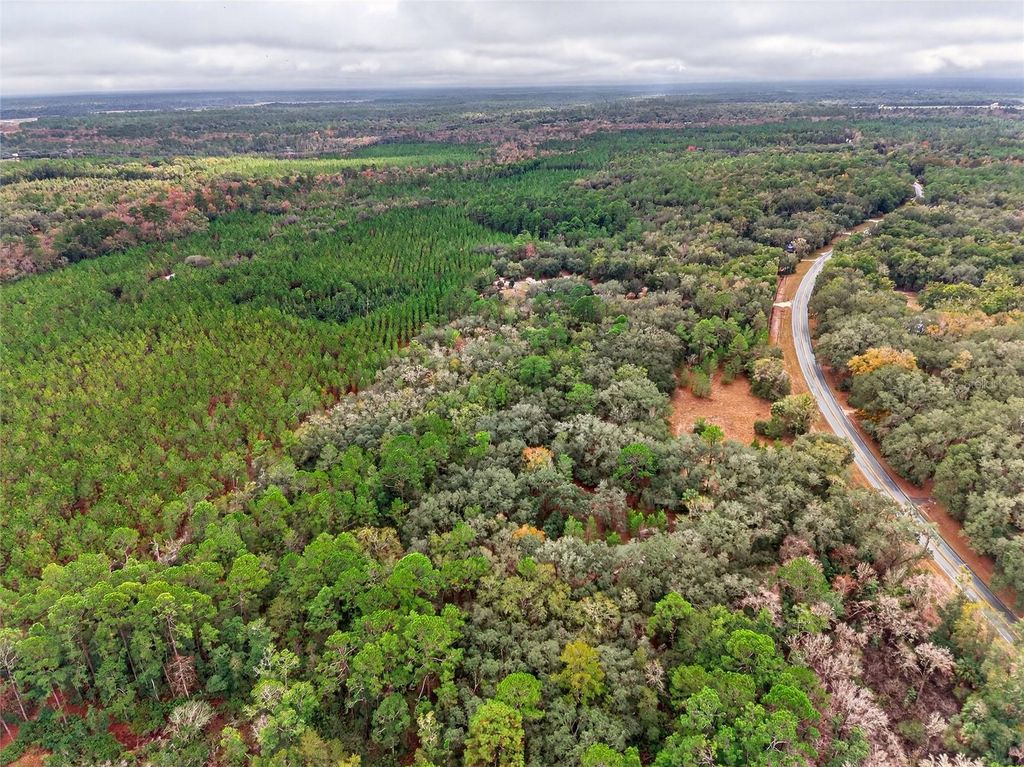 Photo of 910 S County Road 21, Hawthorne, FL 32640 (MLS # O6366156)