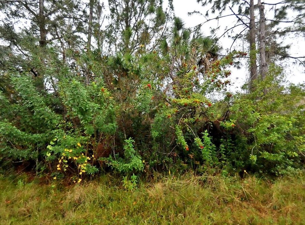 Photo of Florida Terrace, North Port, FL 34291 (MLS # C7504539)