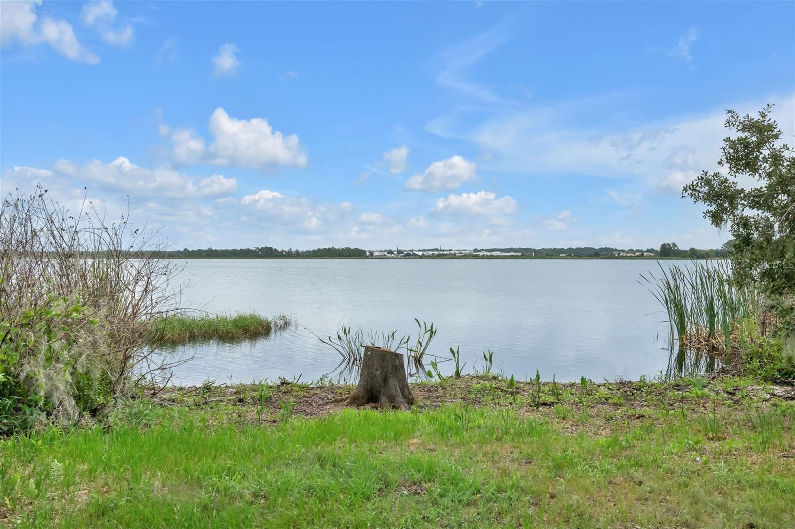 ESTATES AT LAKE HAMMOCK - Residential