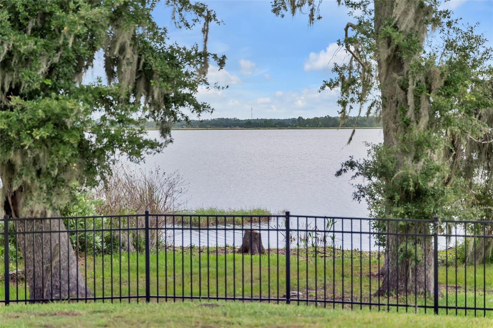 ESTATES AT LAKE HAMMOCK - Residential