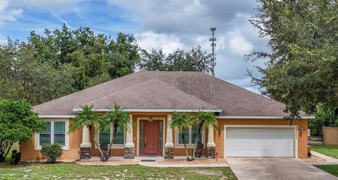 A home in TAVARES