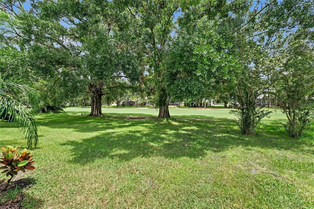 Photo of 16511 Turnbury Oak Drive, Odessa, FL 33556 (MLS # TB8410618)