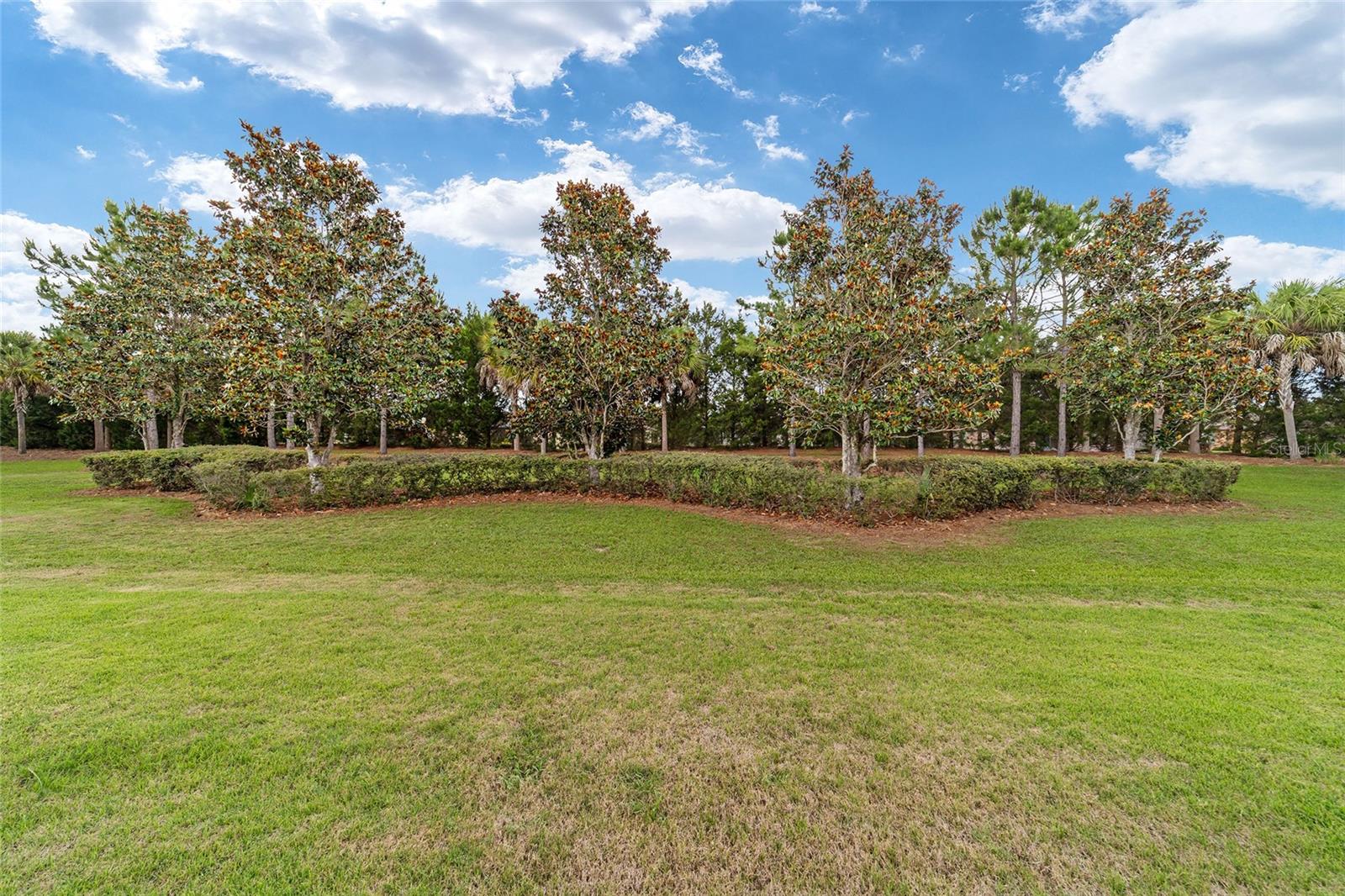 STONE CREEK - Residential