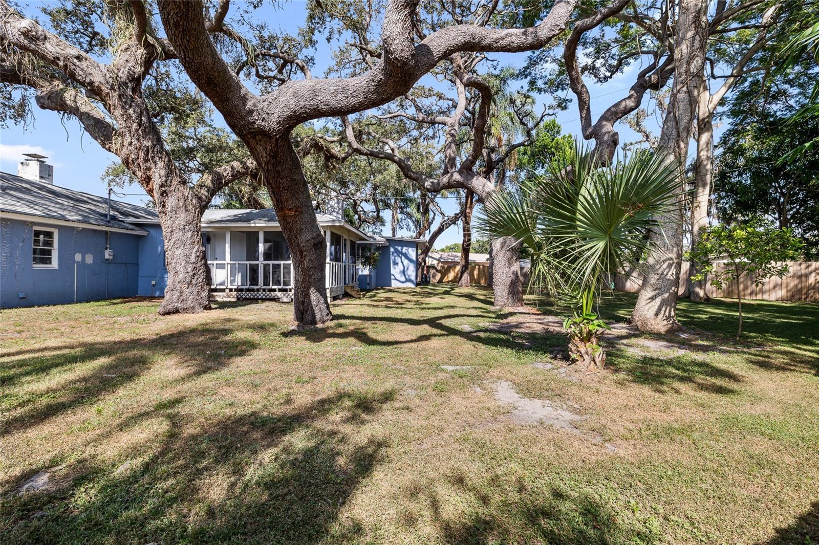 SHADOW LAWN - Residential