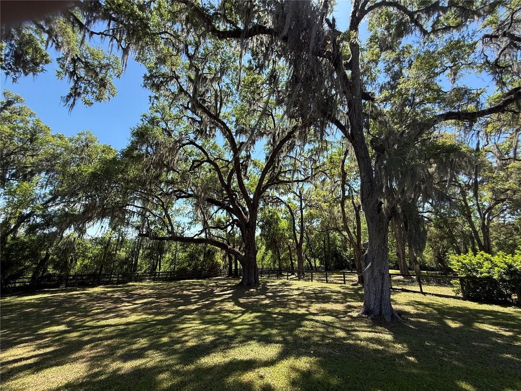 listing image 54