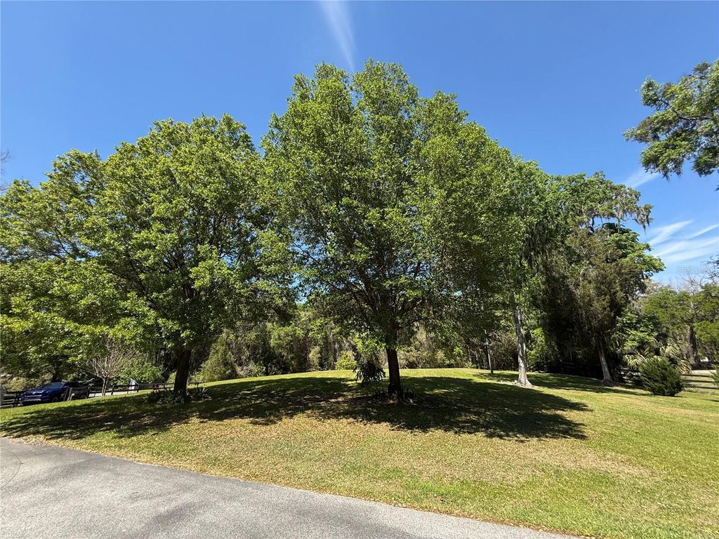 listing image 45